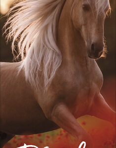 Pferde Kalender 2026 - Korsch Verlag