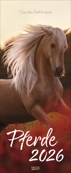 Pferde Kalender 2026 - Korsch Verlag
