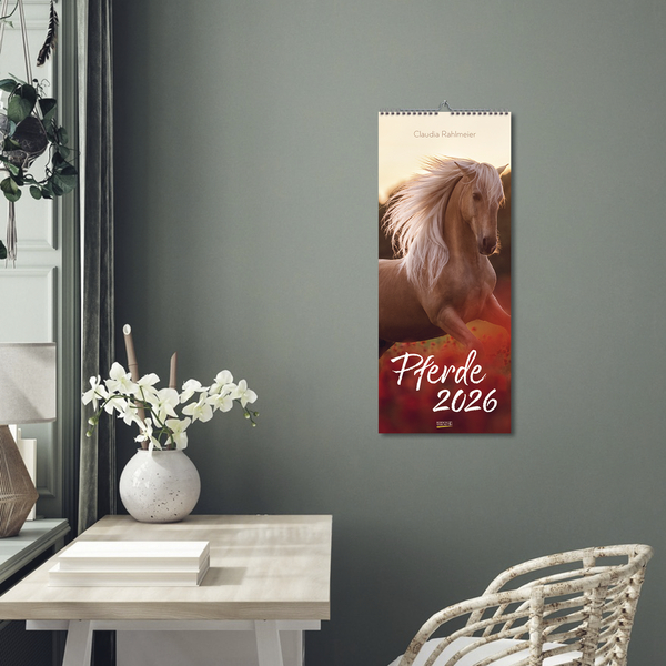 Pferde Kalender 2026 - Korsch Verlag – Bild 2