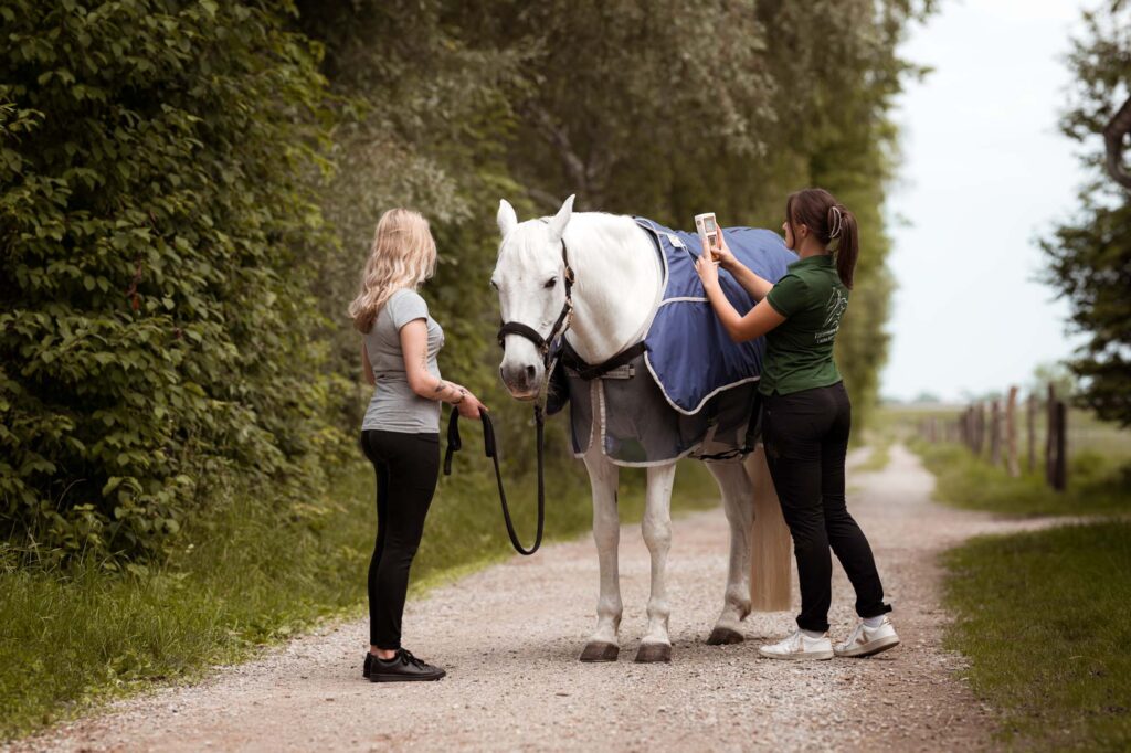Fotografie für Selbstständige im Pferdebereich 4 Tierfotografie Claudia Rahlmeier