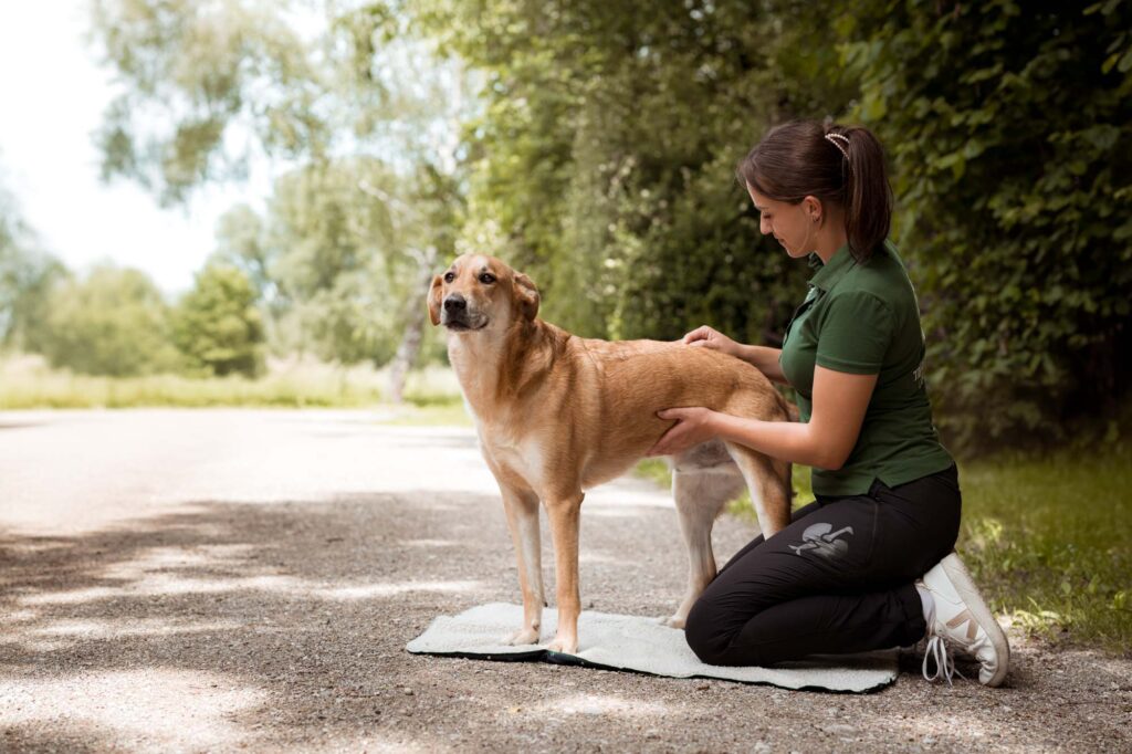 Fotografie für Selbstständige im Pferdebereich 8 Tierfotografie Claudia Rahlmeier
