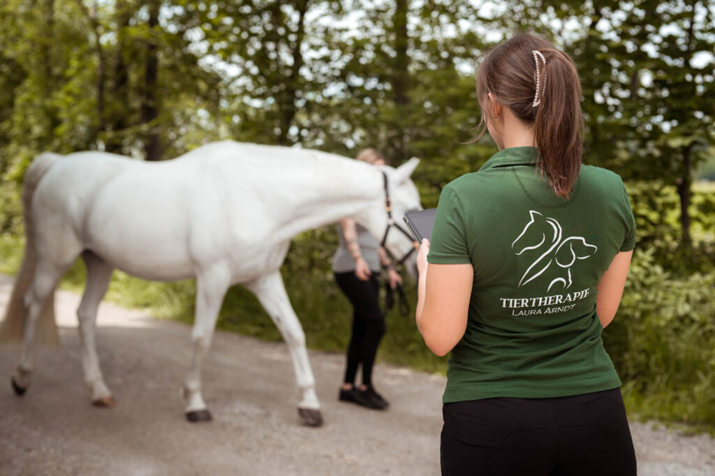 Fotografie für Selbstständige im Pferdebereich 5 Tierfotografie Claudia Rahlmeier