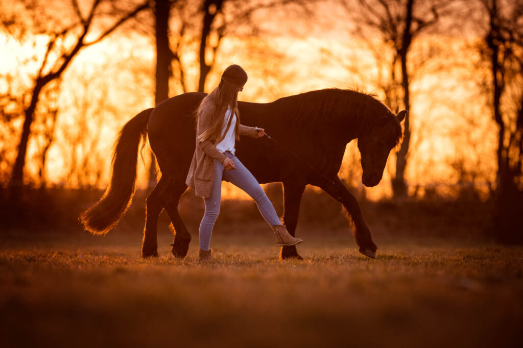 Die 5 schönsten Locations für Dein Fotoshooting mit Pferd 31 Tierfotografie Claudia Rahlmeier