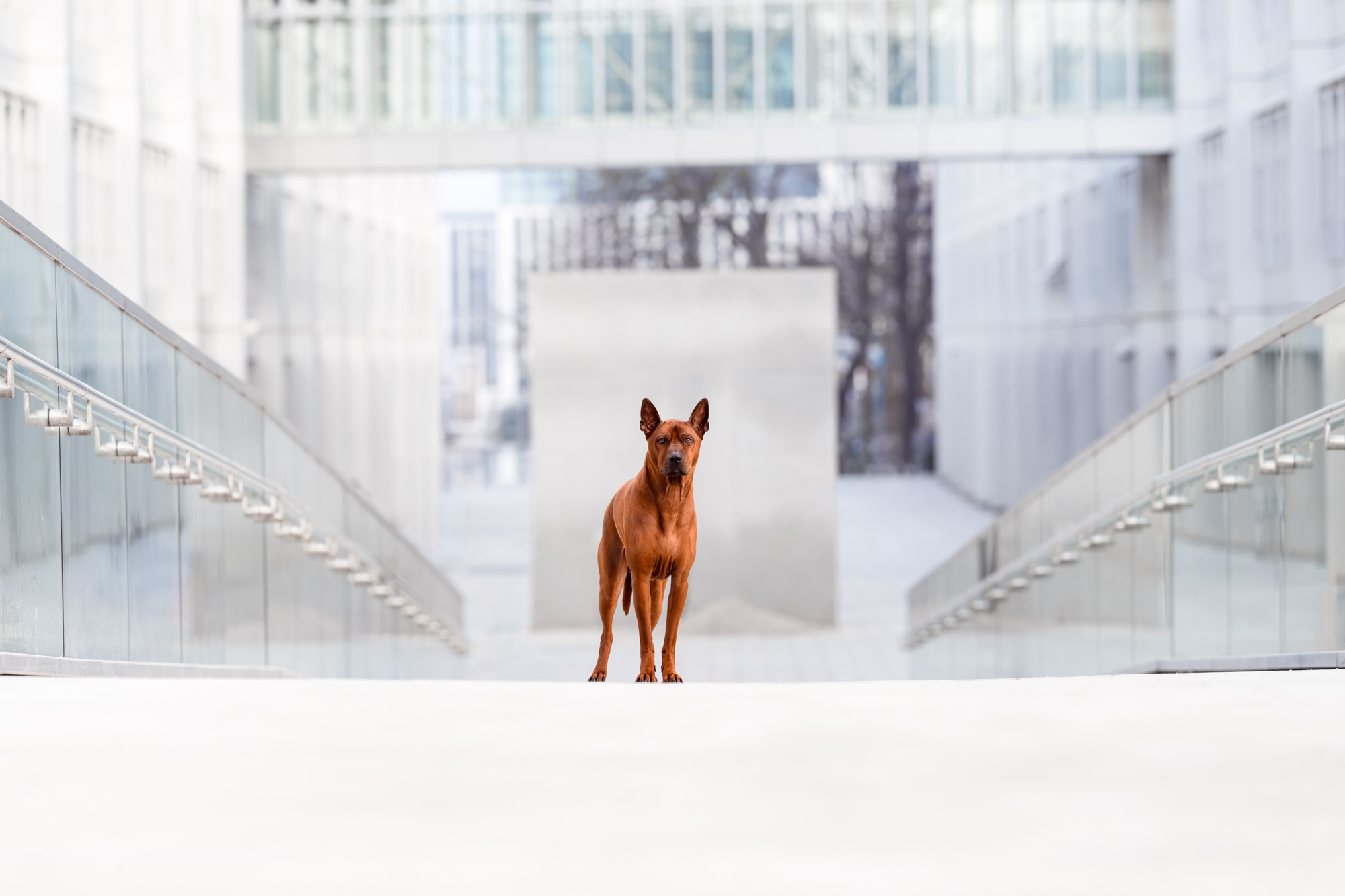 Tierfotografie Claudia Rahlmeier