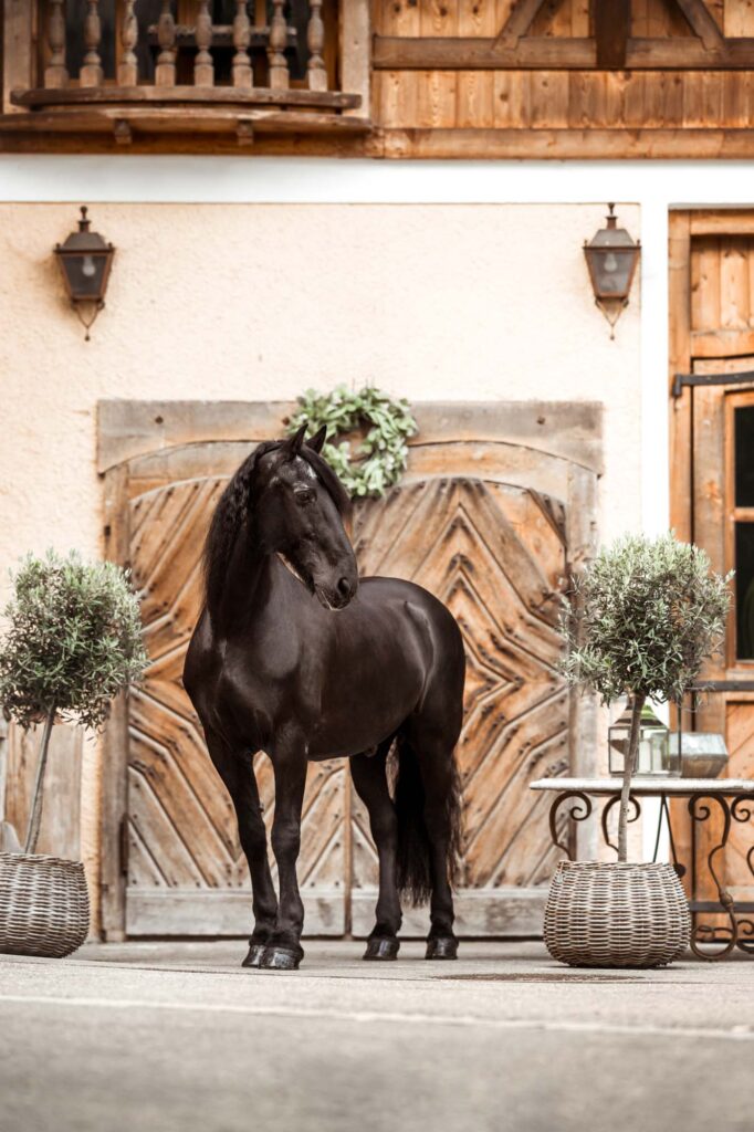 Die 5 schönsten Locations für Dein Fotoshooting mit Pferd 49 Tierfotografie Claudia Rahlmeier