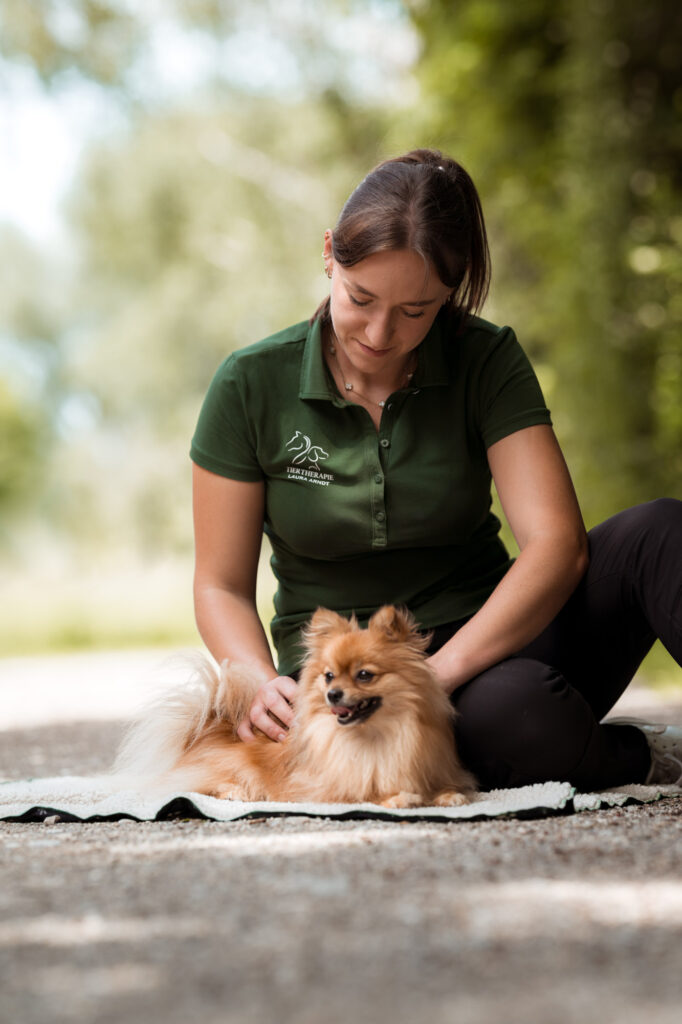 Fotografie für Selbstständige im Pferdebereich 7 Tierfotografie Claudia Rahlmeier