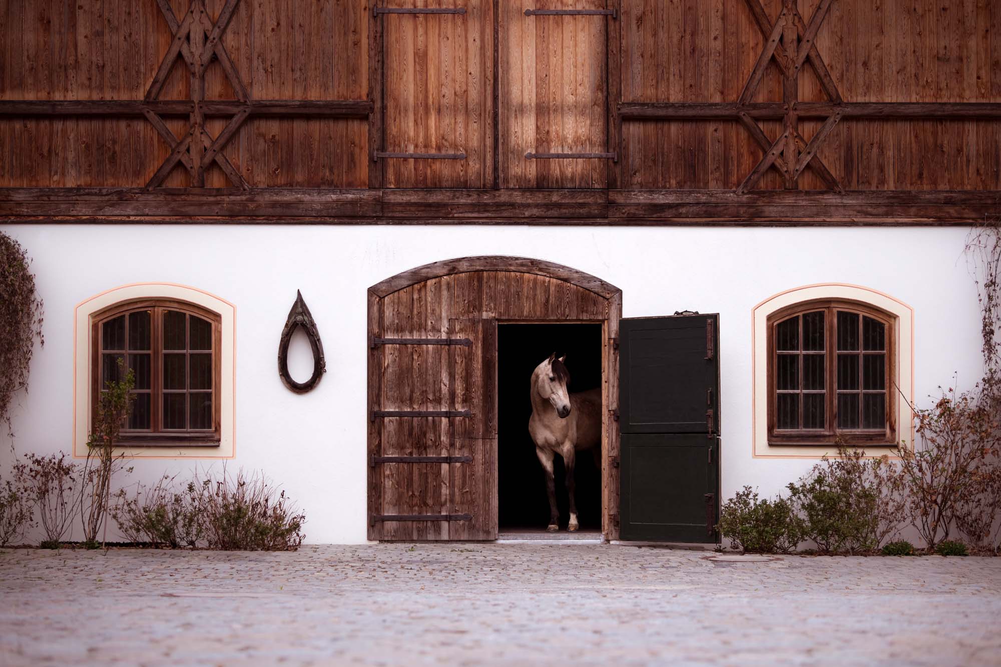 Die 5 schönsten Locations für Dein Fotoshooting mit Pferd 1 Die 5 schönsten Locations für Dein Fotoshooting mit Pferd