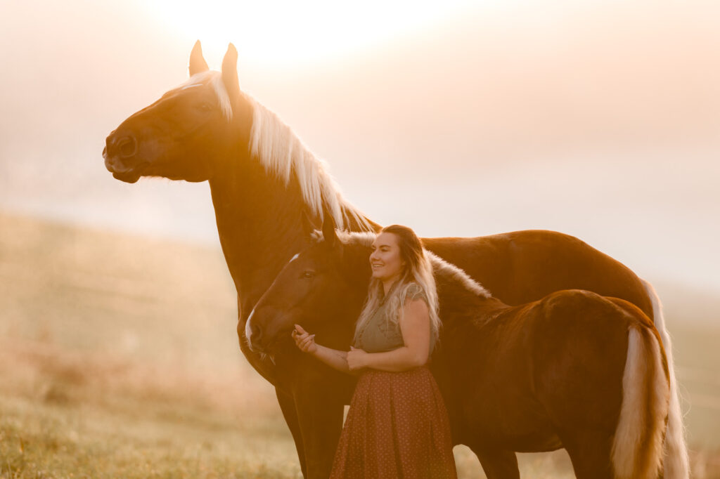 Die 5 schönsten Locations für Dein Fotoshooting mit Pferd 35 Tierfotografie Claudia Rahlmeier