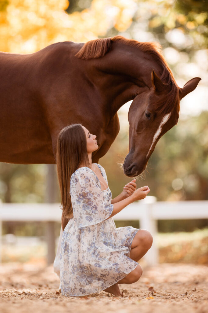 Die 5 schönsten Locations für Dein Fotoshooting mit Pferd 14 Tierfotografie Claudia Rahlmeier
